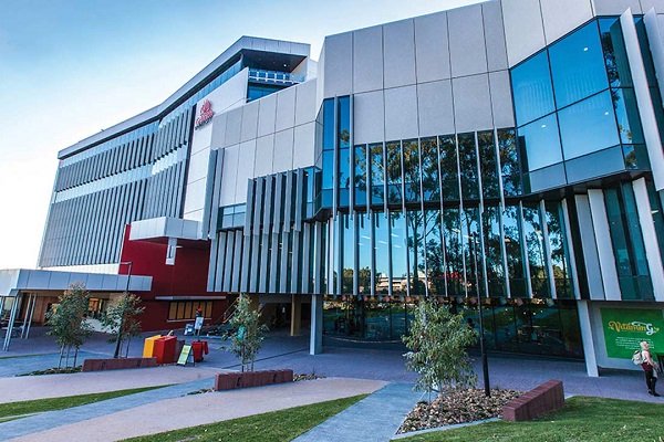 Griffith University: A Leader in Education, Research, and Community Impact