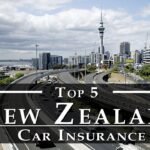 Best Insurance in New Zealand: Top Providers and Reviews for 2024